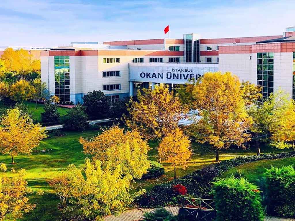 جامعة اسطنبول اوكان